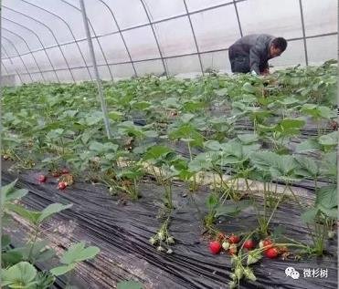 娱乐吧平台_友情推荐：AG百家乐